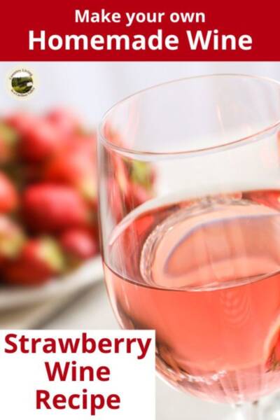 Glass of strawberry wine in front of fresh strawberries.