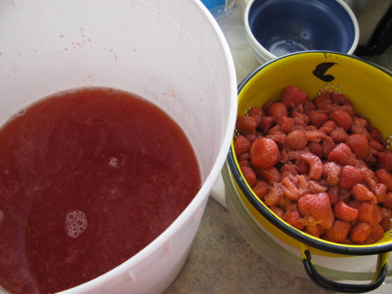Frozen strawberries thawing in a colander beside a pail of juice.