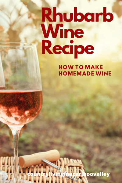 A glass of Rhubarb wine sits on a table outside