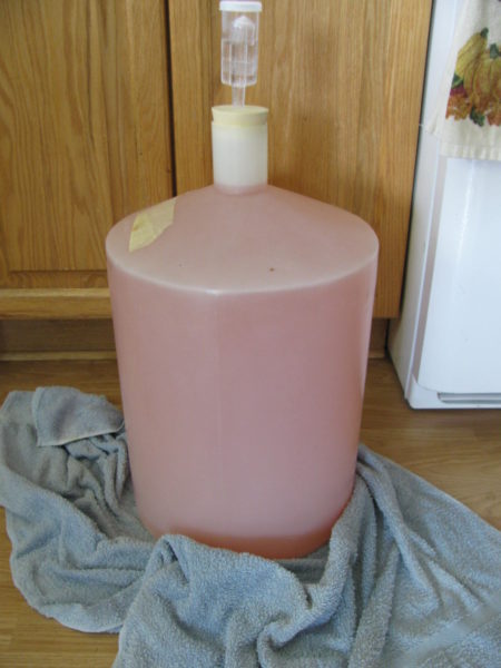 A carboy filled with Rhubarb wine.
