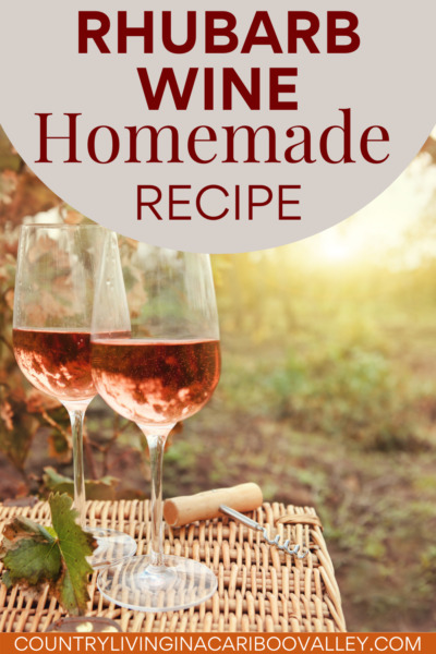 Rhubarb wine in two glasses on a table