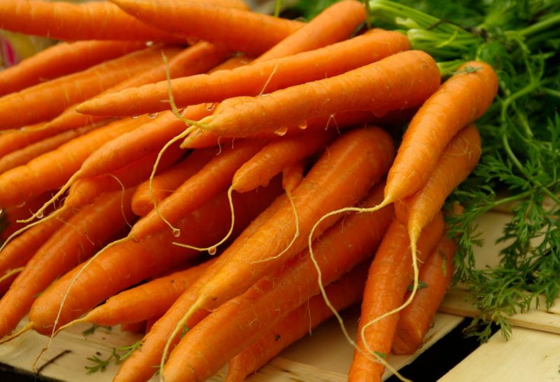 Fresh harvested carrots on a counter after learning how to grow carrots.