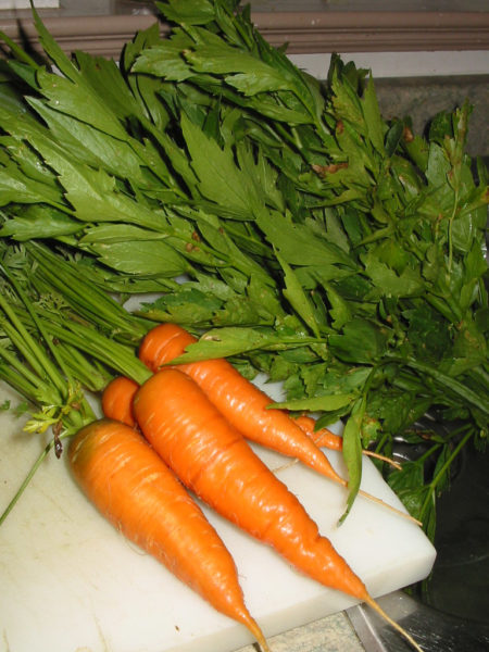 carrots sitting on a counter.