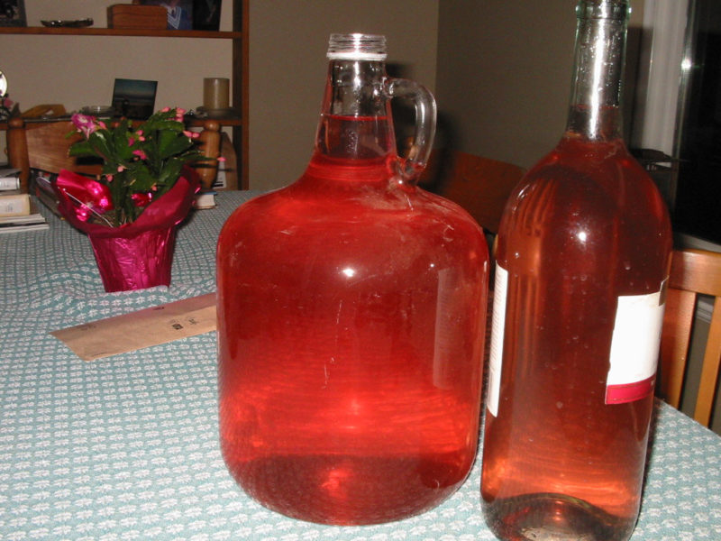 Finished jugs full of pretty Rhubarb wine.