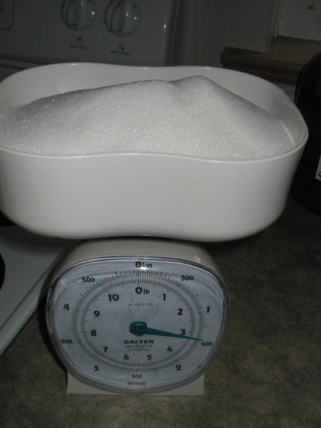 Sugar being weighed before adding to Rhubarb wine.