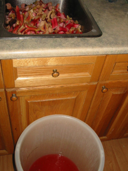 Rhubarb juice after being strained from the stalks.