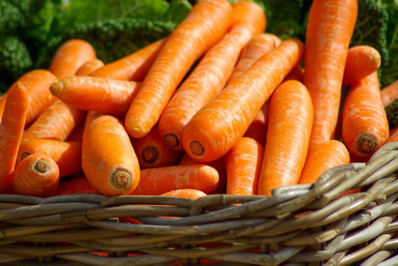 Harvested carrots in a wicker basket.