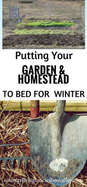 garden shovel before cleaning and storing for winter