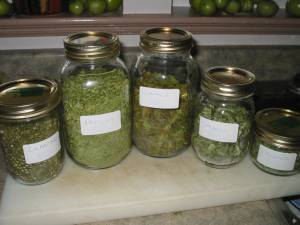 How to Dry Herbs Without a Dehydrator #herbs #cooking #gardening