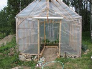 IMG_0779 greenhouse, country living in a cariboo valley, tomatoes, peppers, northern greenhouse