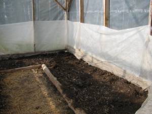 IMG_6142 greenhouse, country living in a cariboo valley, tomatoes, peppers, northern greenhouse