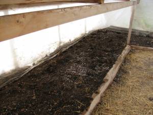 IMG_6143 greenhouse, country living in a cariboo valley, tomatoes, peppers, northern greenhouse