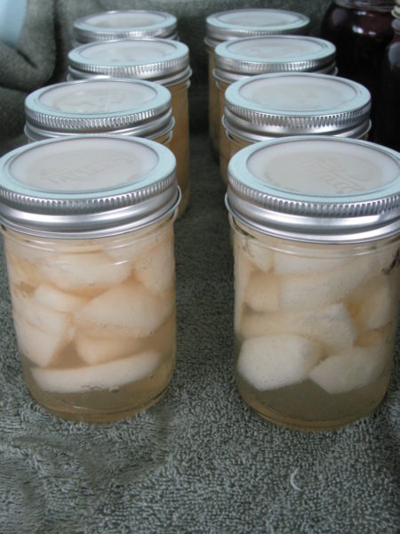 canning, preserving