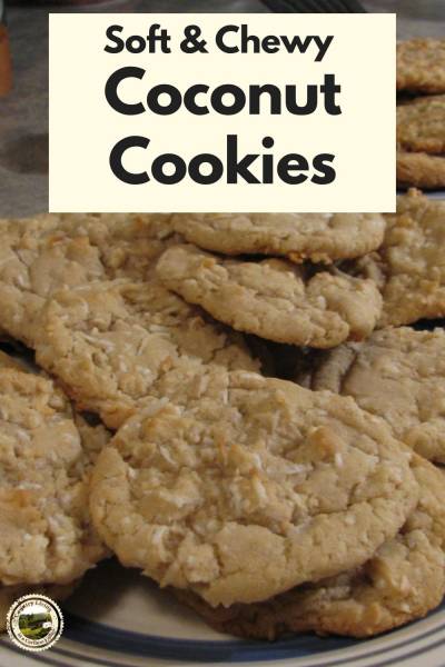 Coconut cookies sit on a plate.