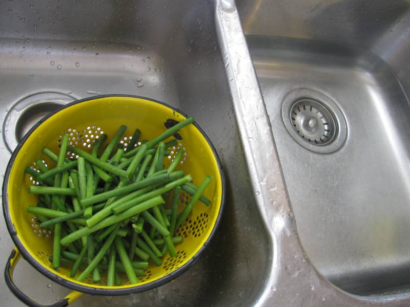 Scapes in a colander in the sink.