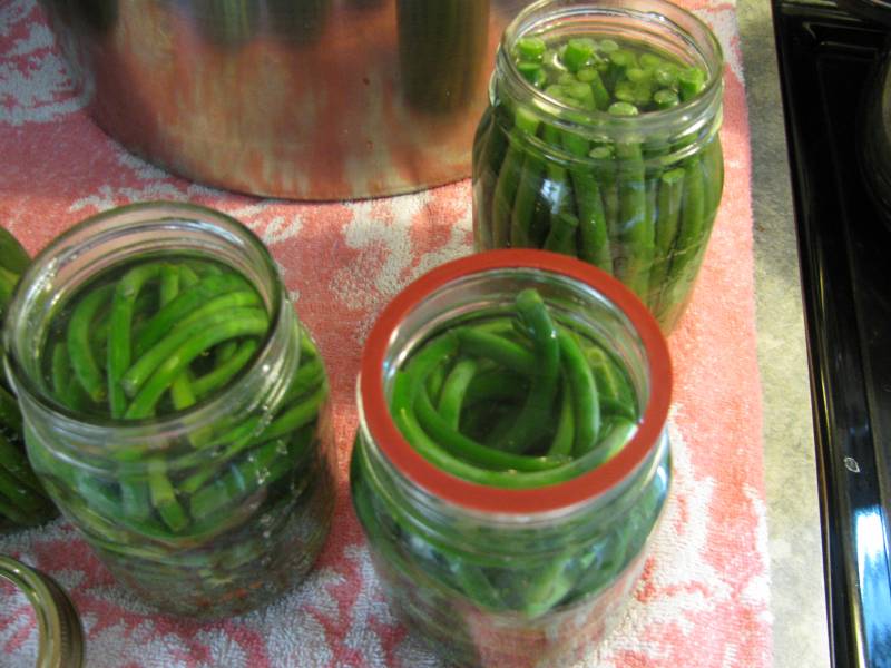 Placing a rubber ring on the rim of a jar.