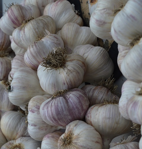 cured garlic stored in a open basket