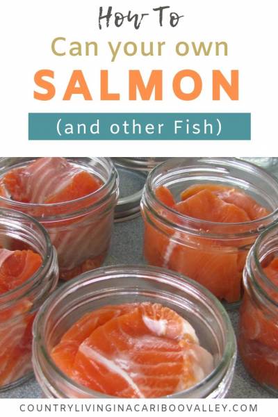 How to can fish at home. Step by step process of canning fish to preserve it. Here's the recipe for canning salmon, trout and other fish. #recipe #canning #pressurecanning #homecanning #food #meals