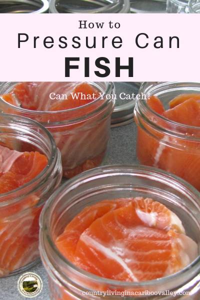 Home can your own fish! Use a pressure canner to safely can salmon and other fish. Step by step instructions to preserve your catch! #canning #pressurecanning #homecanning