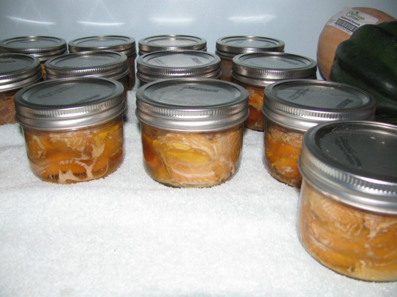 can fish, salmon, tuna, pressure canner