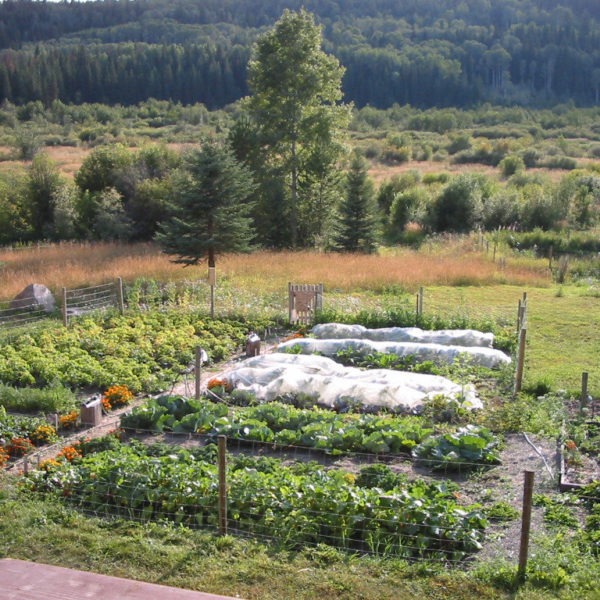 garden