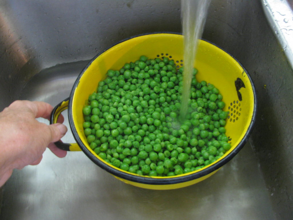 Soaking blanched peas in cold water until cool