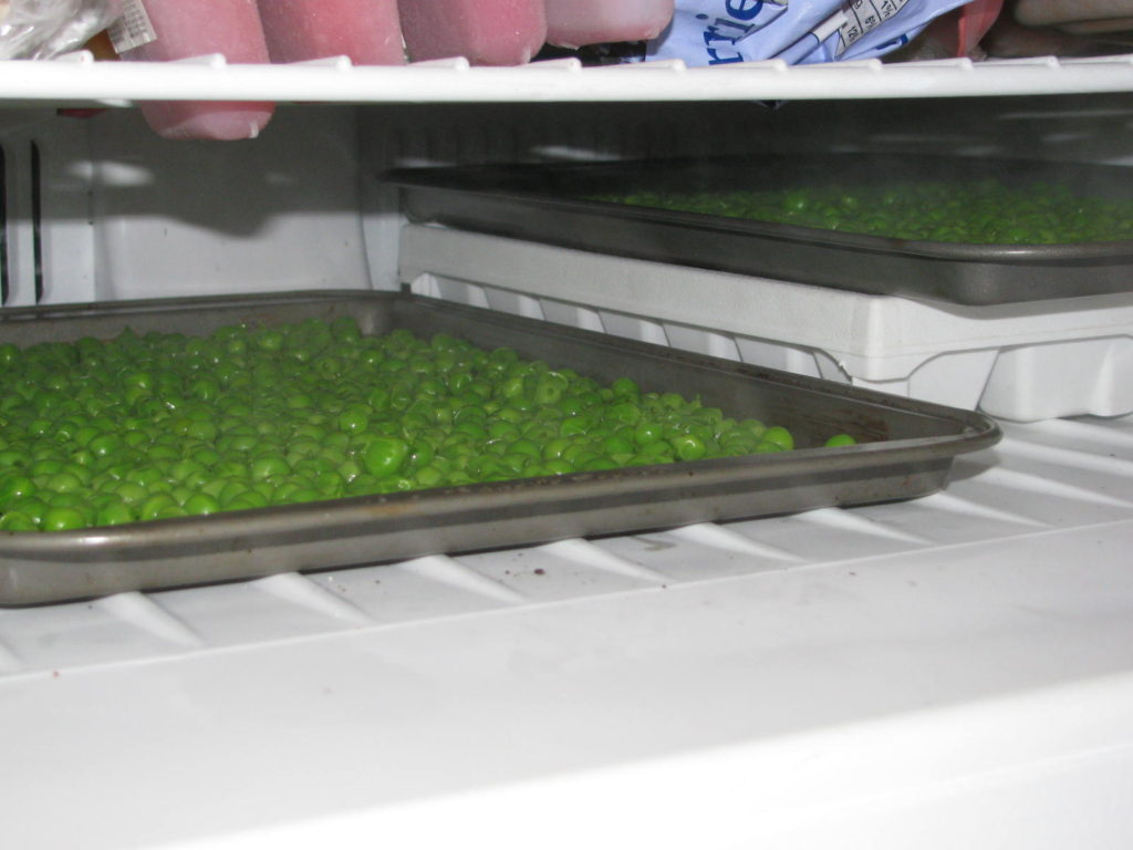 frozen peas on cookie sheet in freezer