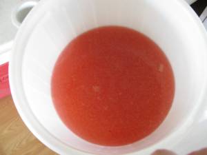 Rhubarb Juice being turned into Wine