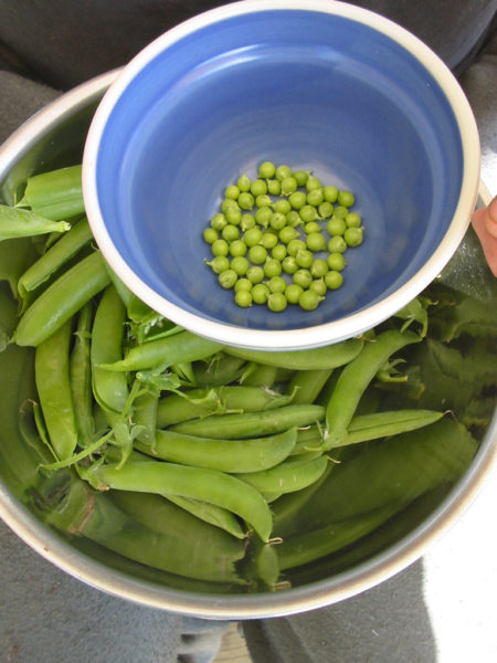 a bowl of shelled peas ready for blanching