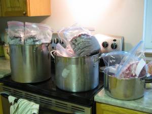 Making Wild Wines