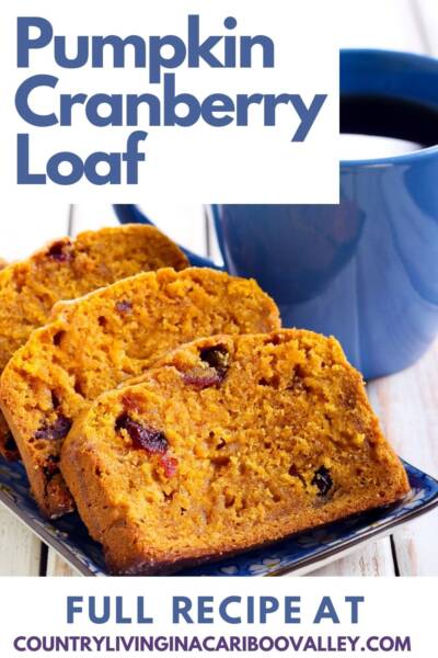 Pumpkin Cranberry loaf on a plate