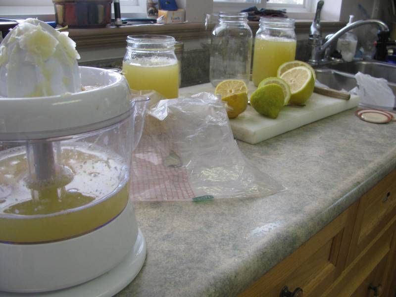 Using a juicer to squeeze lemon juice to freeze in jars