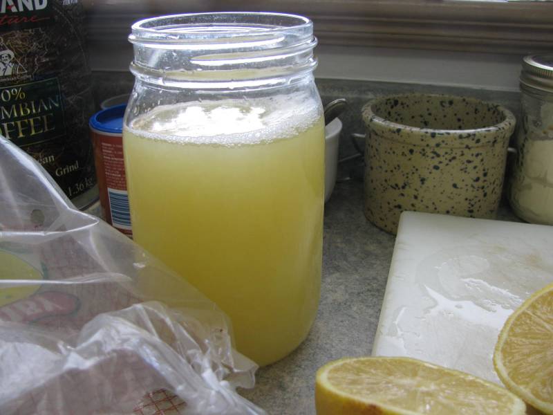 freshly squeezed lemon juice to be frozen for later use