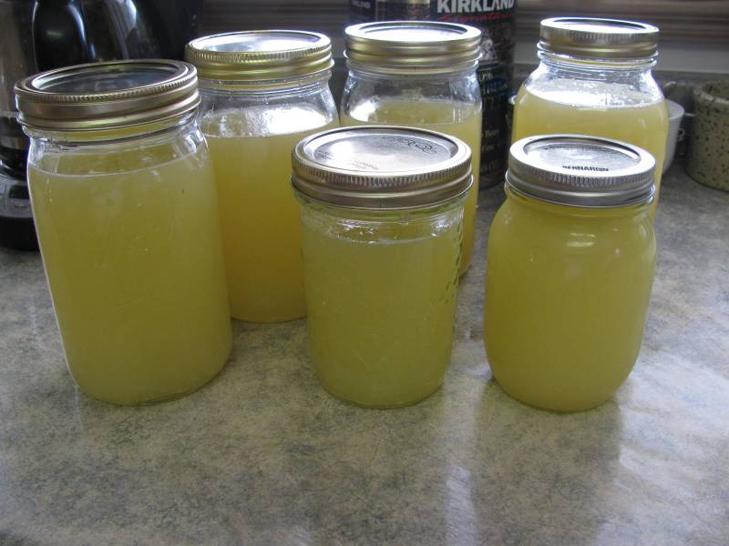 freshly squeeze lemon juice ready to be frozen.