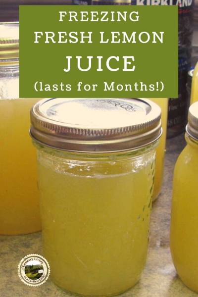 Mason jars of lemon juice for freezing