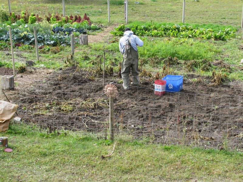 putting a garden to bed