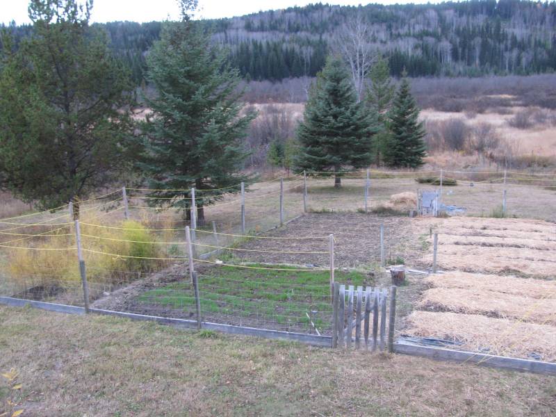 putting the garden to bed for winter