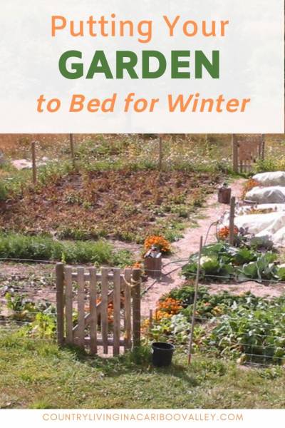 An autumn garden that needs harvesting.
