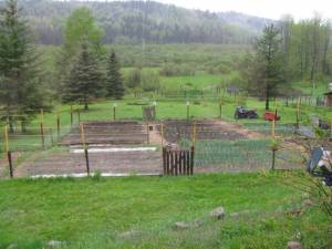 Critterproofing the fence