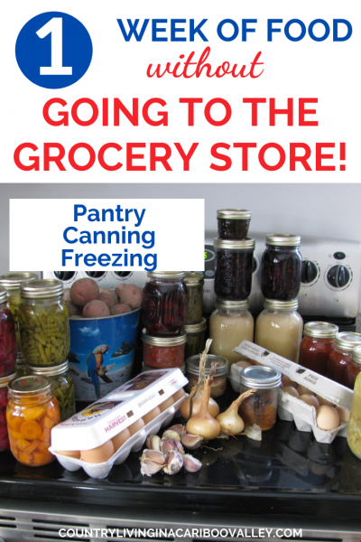build food storage by preserving food
