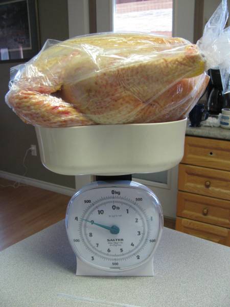 A 9 pound homegrown chicken ready for the freezer
