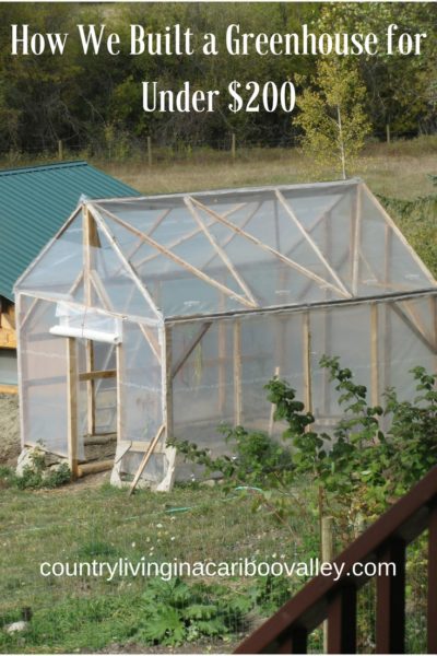 How to Build a Greenhouse For Under $200 - Country Life in BC