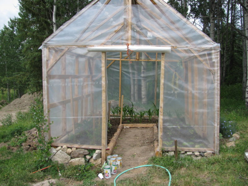 installing plastic sheeting on the greenhouse frame