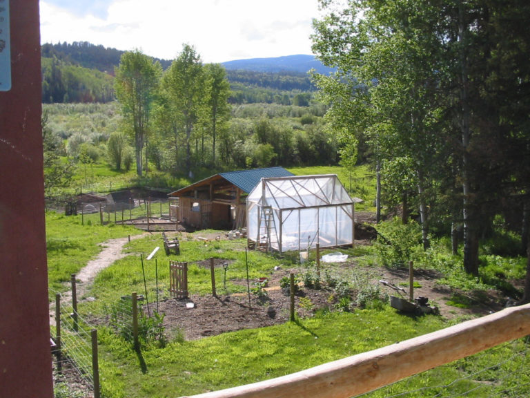 How to Build a Greenhouse For Under 200 Country Living and Garlic