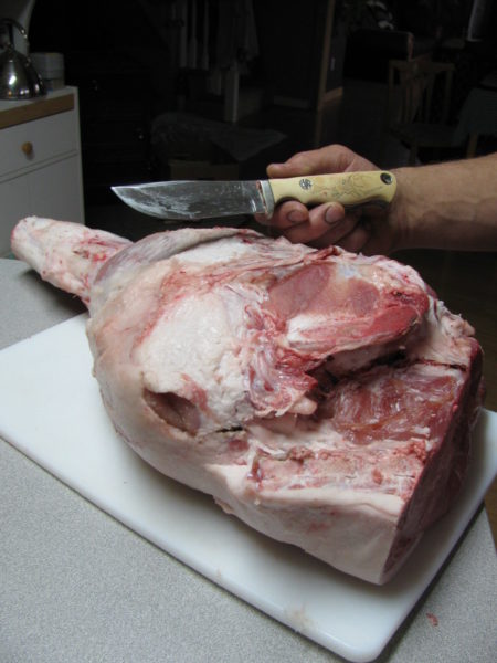 A large hind quarter from a pig