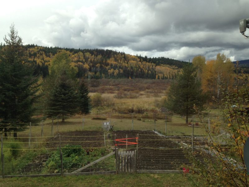 end of season, gardening