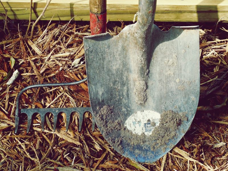 fall, garden preparation, gardening,