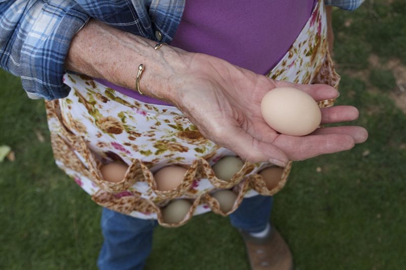 a lady wearing an egg apron, holding a fresh egg