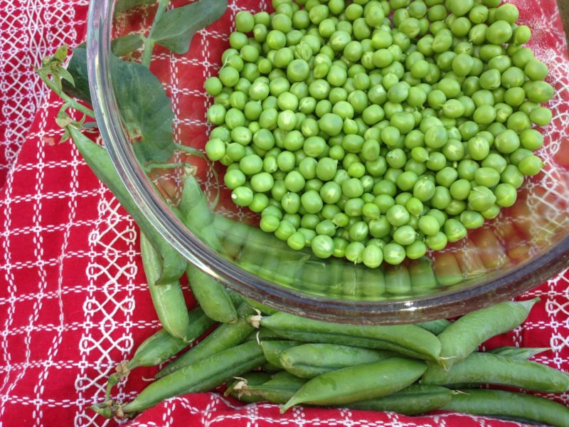 Shelled peas in a bowl on a red cloth.