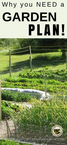A vegetable garden growing with lots of food.